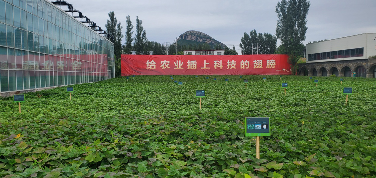 5 鄉(xiāng)村振興齊魯樣板“尼山鹿鳴”示范區(qū)實景圖.png